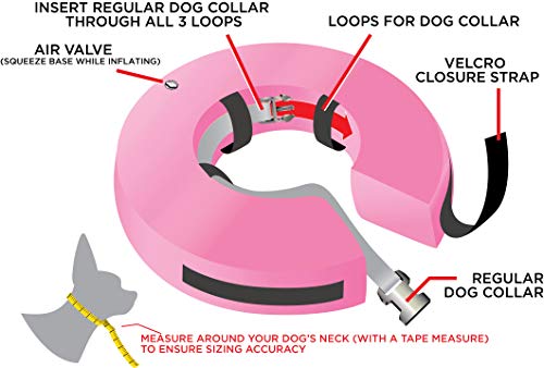Rucal Pets Collar Inflable para Perro, Cono de recuperación, después de la cirugía de Mascotas, Evita Que los Perros muerdan y arañen, Correa Gruesa Ajustable, Suave y cómoda Roseta (XL)
