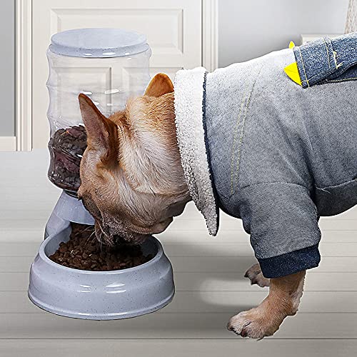 RUG Dispensador automático de agua para mascotas y gatos, 3,8 L, 2 en 1, para alimentos para gatos pequeños, medianos y grandes, color rosa, azul y gris) 2021/8/18 (tamaño: alimentación, color: azul)