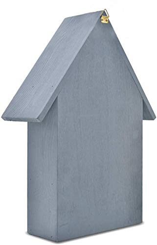 Ruiuzi Casa para insectos, de materiales naturales, casa de abejas, mariquitas, casa de mariposas, para varios insectos voladores, casa de insectos natural (azul)