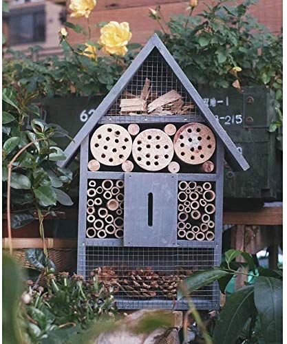 Ruiuzi Casa para insectos, de materiales naturales, casa de abejas, mariquitas, casa de mariposas, para varios insectos voladores, casa de insectos natural (azul)