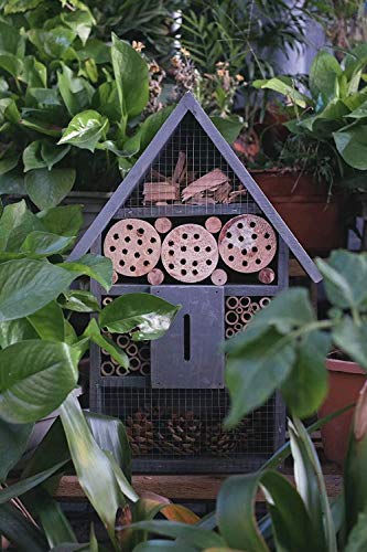 Ruiuzi Casa para insectos, de materiales naturales, casa de abejas, mariquitas, casa de mariposas, para varios insectos voladores, casa de insectos natural (azul)