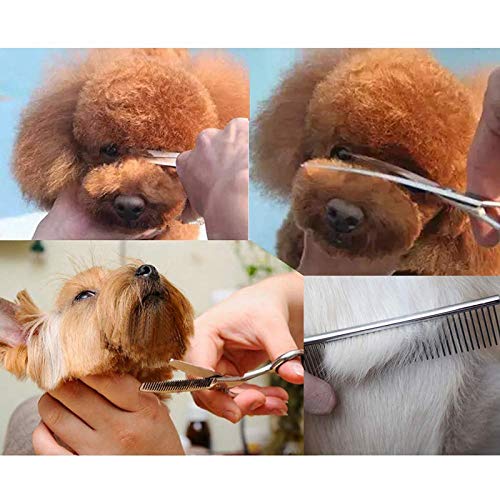 Sahkgye Juego de Tijeras para el Cuidado de Mascotas con Punta Redonda de Seguridad, Kit de Tijeras para el Cuidado del Perro para el Cuidado del Cabello para Perros y Gatos