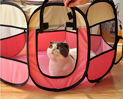 Sala de reparto para gatos Repartidor de gatos Expectativa de embarazo para embarazos Tienda de producción Caja para cría de perros Suministros de producción para perros de gatos Suministros para masc