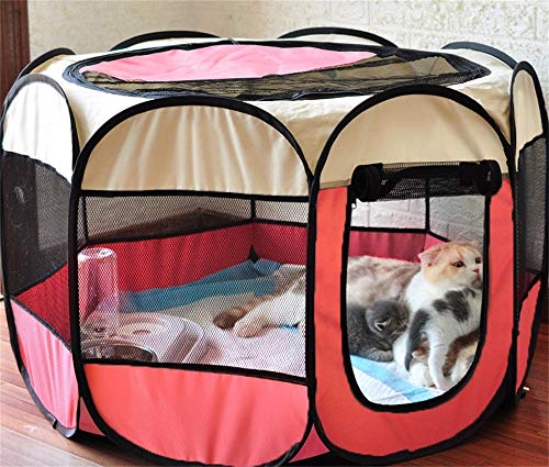 Sala de reparto para gatos Repartidor de gatos Expectativa de embarazo para embarazos Tienda de producción Caja para cría de perros Suministros de producción para perros de gatos Suministros para masc