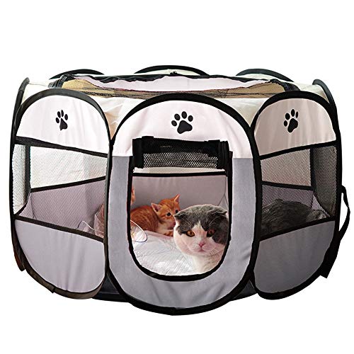Sala de reparto para gatos Repartidor de gatos Expectativa de embarazo para embarazos Tienda de producción Caja para cría de perros Suministros de producción para perros de gatos Suministros para masc