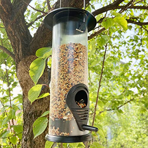 SALUTUYA Comedero para pájaros Silvestres Colgante Gazebo Comedero para pájaros, Distribuidor automático de Alimentos para pájaros, Loros, Mascotas