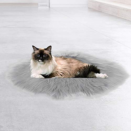 SALUTUYA Interfaz USB Impermeable de la Manta eléctrica del Gato Anti-rastrero para el Perro del Gato para Dormir el Descanso(Imitation Mink Grey)