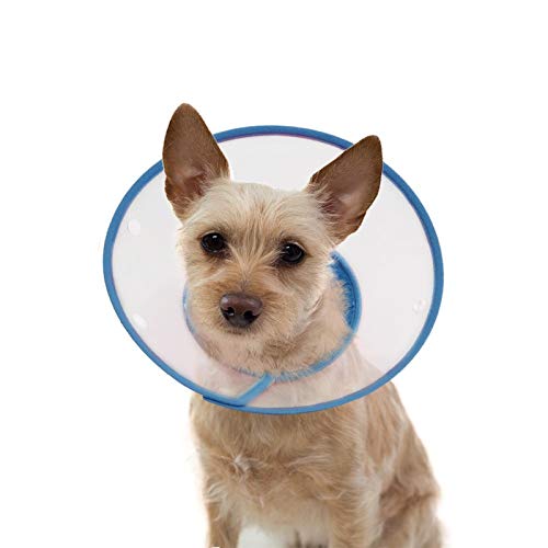 Samine Collar isabelino ajustable para cachorros 6.7 9 pulgadas, color azul