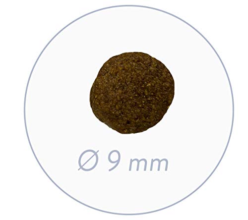 Sanabelle Sterilized | Comida Seca para Gatos Adultos De Todas Las Razas | Especialmente Adecuado para Los Gatos Esterilizados | Reducido En Energía 2500 g
