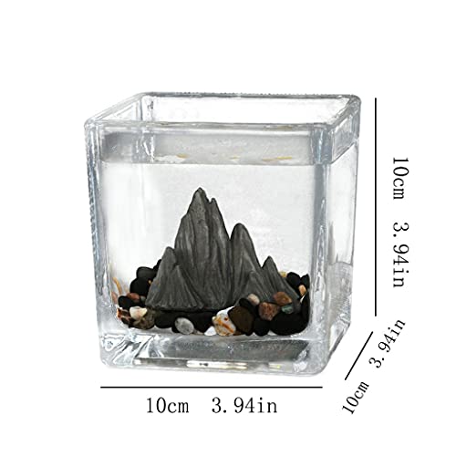 sararui Pecera Desktop Cuadrado Pequeño Tanque de Peces Tanque de Invitados Oficina Pequeño Muebles Taza de té Vidrio Jardinería Lucha Fácil Peces Tanque Pecera Pequeña (Size : C)