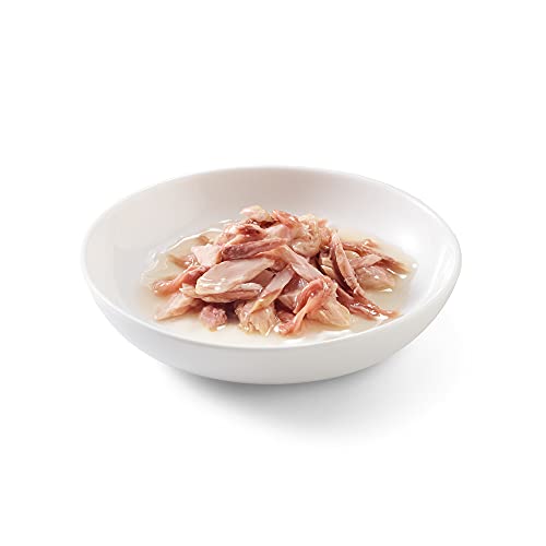 Schesir, Comida húmeda para Gatos Adultos, Sabor bacoreta con filetes de Carne de Buey en gelatina Blanda - Total 2 kg (24 latas monodosis x 85 gr)