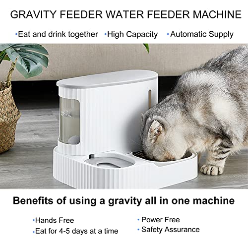 Sdfafrreg Comedero para Perros 2 en 1, Dispensador de Comida Automático Desmontable Aspecto Elegante para Perros para Gatos