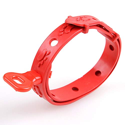 SeniorMar-UK Silicona Mascota Perro Gato Anti piojos Plaga Mosquitos Collares antipulgas Matar piojos Parásitos Desparasitación Collar Repelente de Insectos