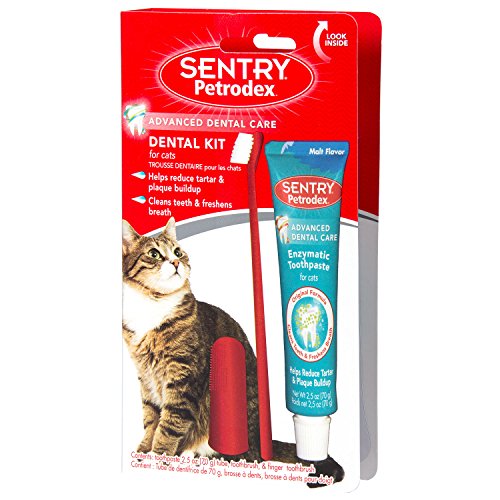 SENTRY petrodex Dental Kit para Gatos, Malta Pasta de Dientes, 2,5 oz