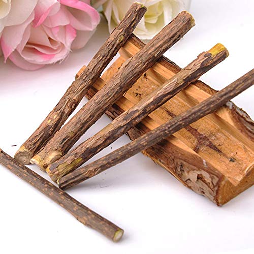 SENZHILINLIGHT Dientes de Limpieza de Gato Natural Catnip Pet Cat Molar Pasta de Dientes Stick Matatabi Actinidia Fruit Silvervine Cat Snacks Sticks