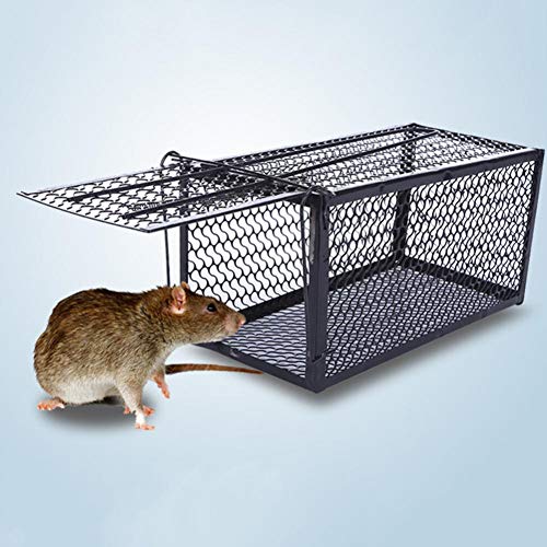 SHANYUR Jaula De Trampa De Metal Automática Trampa para El Hogar Caja De Hámster Roedor Control De Animales Humano Ratón Jaula De Ratas Cebo Vivo