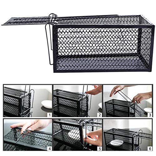 SHANYUR Jaula De Trampa De Metal Automática Trampa para El Hogar Caja De Hámster Roedor Control De Animales Humano Ratón Jaula De Ratas Cebo Vivo