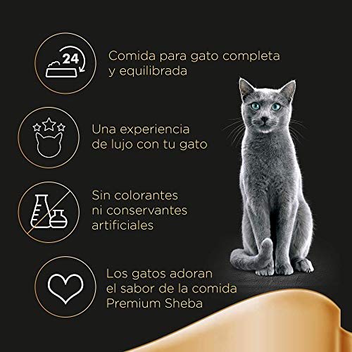 Sheba Les Créations Comida Húmeda para Gatos, Sabor Pollo, Multipack (Pack de 13 x 4 bolsitas x 85g)