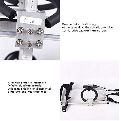 Silla de ruedas para perros, adecuada para perros pequeños, gatos grandes, cachorros, patas traseras, rehabilitación, minusválidos, parálisis, heridos, asistencia para caminar, ajustable, 2 ruedas.