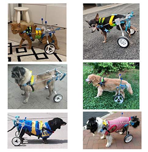 Silla de Ruedas para Perros Gatos Conejo, Wheelchair para Artritis Rehabilitación, Rehabilitación Postoperatoria, Patas Lesionada, Mascotas Viejas/Discapacitadas/Discapacitadas, 1.5~16 KG