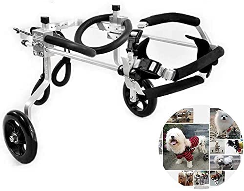 Silla de Ruedas para Perros y Mascotas, Silla de Ruedas para Perros, 2 Ruedas de Acero Inoxidable, aprobada por Veterinarios, Silla de Ruedas para Patas traseras, para Mascotas/Gatos, Silla de Ruedas