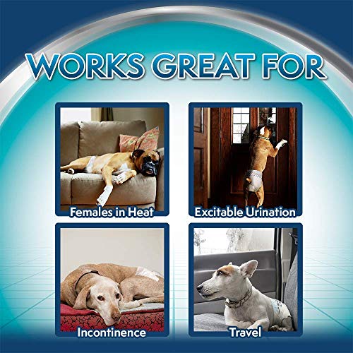 Simple Solution pañales de Perro Hembra Desechables, Grande(Paquete de 12)
