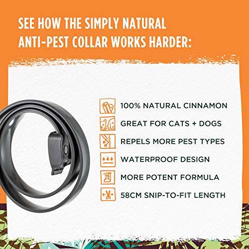 Simply Natural Collar Antipulgas y Antigarrapatas Collar Antigarrapatas y Antipulgas Ajustable de Canela Natural y de 58cm Collar para el Control de Parásitos para Gatos