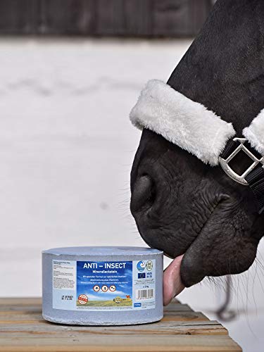 Sin Hellas Piedra mineral antiinsectos (4 unidades de 3 kg)