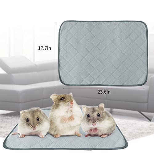 SIVEIS Almohadillas de Entrenamiento para Mascotas, Paquete de 2, Almohadilla de Entrenamiento Lavable Ultraabsorbente Reutilizables Tapete de Jaula Antideslizante, 60 x 45 cm