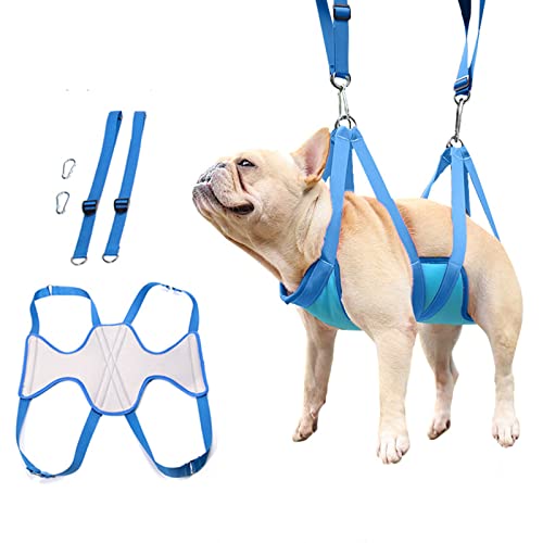 SLE Aseo de hamacas para Perros y Gatos, Arnés de Corte de uñas Aseo de Mesa, Adecuado para Gatos y Perros pequeños y medianos.Azul(M)