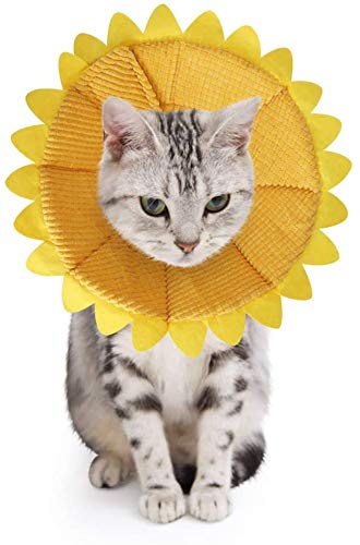 SLSON - Collares para perros, gatos, antimordeduras, protección ajustable, collar de recuperación para perros y gatos con adorable, diseño de girasol amarillo (S)