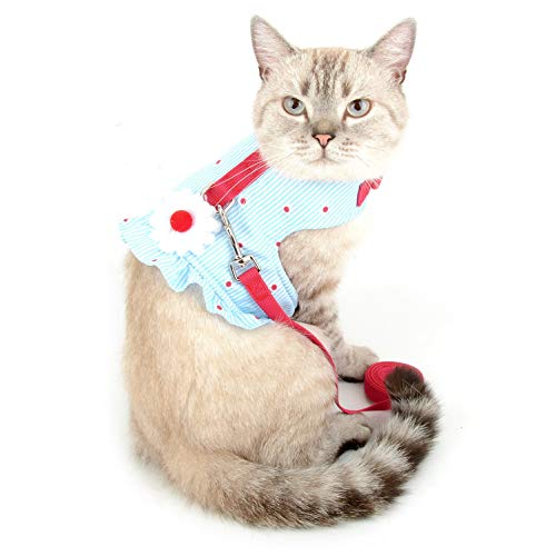 smalllee_lucky_store Arnés de gato y perro pequeño con diseño de lazos, ajustable, sin tirones, a prueba de escape, suave, impermeable, para cachorros, gatito, Azul, S