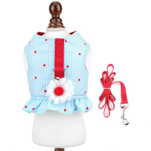 smalllee_lucky_store Arnés de gato y perro pequeño con diseño de lazos, ajustable, sin tirones, a prueba de escape, suave, impermeable, para cachorros, gatito, Azul, S