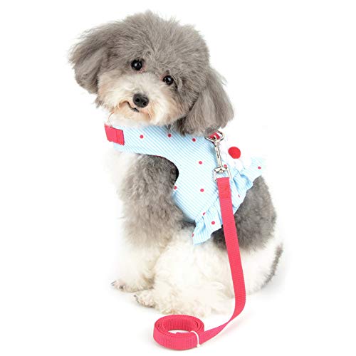 smalllee_lucky_store Arnés de gato y perro pequeño con diseño de lazos, ajustable, sin tirones, a prueba de escape, suave, impermeable, para cachorros, gatito, Azul, S