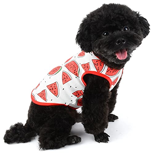 SMALLLEE_LUCKY_STORE Linda fruta mascota camiseta camiseta para perro pequeño gato niño niña sin mangas chaleco tanque Top verano cachorro taza Yorkie Chihuahua ropa