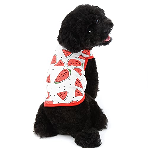 SMALLLEE_LUCKY_STORE Linda fruta mascota camiseta camiseta para perro pequeño gato niño niña sin mangas chaleco tanque Top verano cachorro taza Yorkie Chihuahua ropa