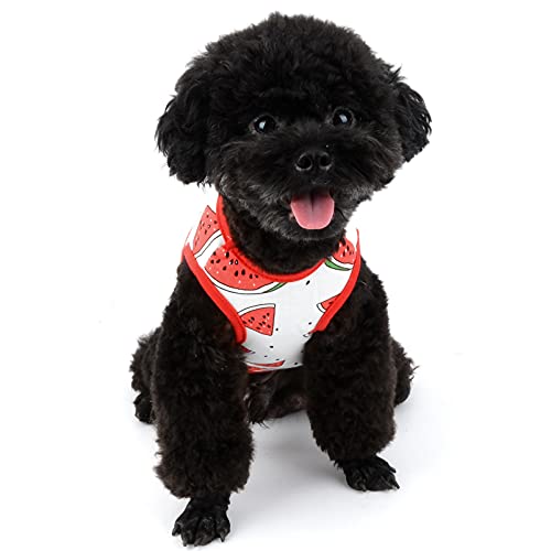SMALLLEE_LUCKY_STORE Linda fruta mascota camiseta camiseta para perro pequeño gato niño niña sin mangas chaleco tanque Top verano cachorro taza Yorkie Chihuahua ropa