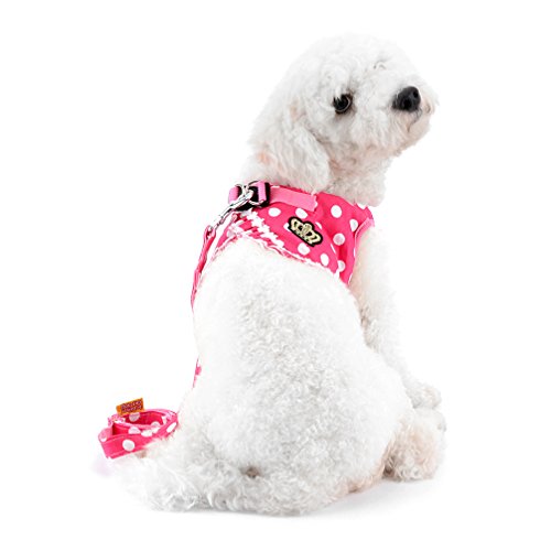 smalllee_lucky_store pequeño Perro Gato Sweet de Lunares Chaleco arnés Correa de Malla Acolchada Plomo Rosa L