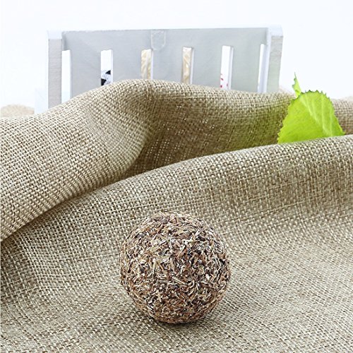 soccik gato Menta Ball Nature gato gato gato Mint Ball Masticación Juguete juguete Menta juguete dientes limpieza para gatos edades