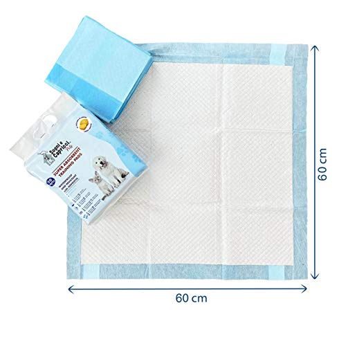 Sogni e capricci Pets Empapador para Mascotas Pets, Limón, 160 Unidades