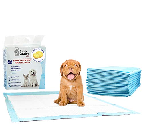 Sogni e capricci Pets Empapador para Mascotas Pets, Limón, 160 Unidades