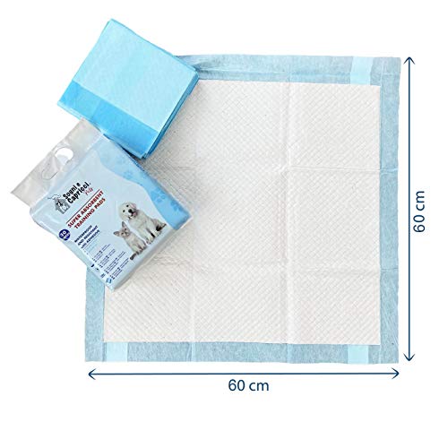 Sogni e capricci Pets Empapador para Mascotas Pets, Neutral, 10 Unidades