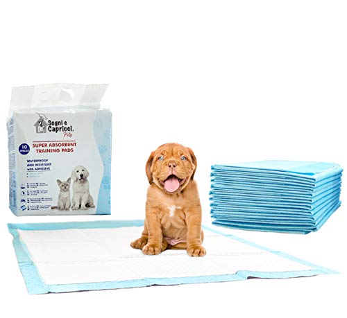 Sogni e capricci Pets Empapador para Mascotas Pets, Neutral, 10 Unidades