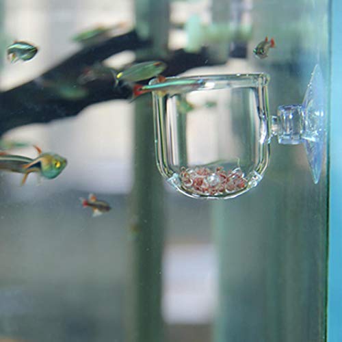 SONK Taza de alimentación roja, alimentador de Acuario alimentador de Peces Transparente con Ventosa para Peces de Acuario para Agua de mar y Acuario(Glass Hole Cup (Suitable for nematodes))