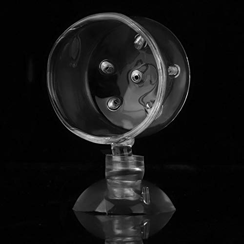 SONK Taza de alimentación roja, alimentador de Acuario alimentador de Peces Transparente con Ventosa para Peces de Acuario para Agua de mar y Acuario(Glass Hole Cup (Suitable for nematodes))