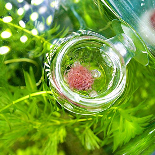 SONK Taza de alimentación roja, alimentador de Acuario alimentador de Peces Transparente con Ventosa para Peces de Acuario para Agua de mar y Acuario(Glass Hole Cup (Suitable for nematodes))