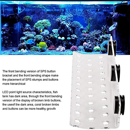 Soporte de estantes de coral para acuario Soporte de estantes de coral transparente para acuario Uso confiable Estante de coral Haga que el coral crezca más saludablemente Color transparente(32 holes)