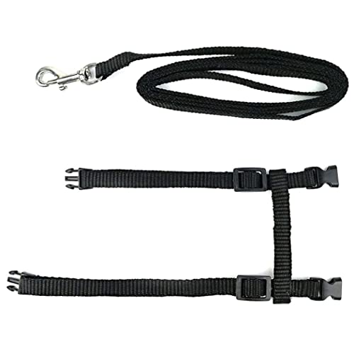 SouiWuzi Cat Harness Kitten Correa Arnés Nylon Correa Cinturón Ajustable Gato Arnés Juego de Plomo Negro, Cat Arnés, Accesorios para el hogar
