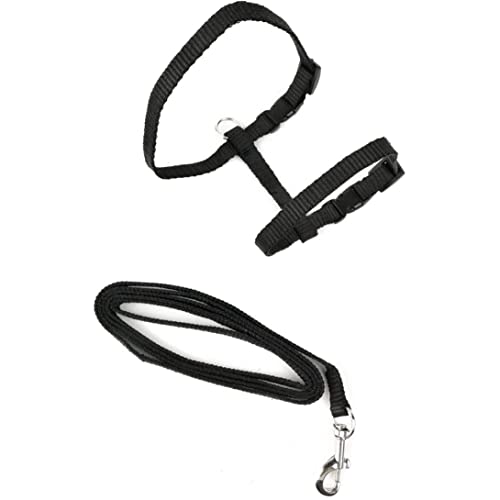 SouiWuzi Cat Harness Kitten Correa Arnés Nylon Correa Cinturón Ajustable Gato Arnés Juego de Plomo Negro, Cat Arnés, Accesorios para el hogar