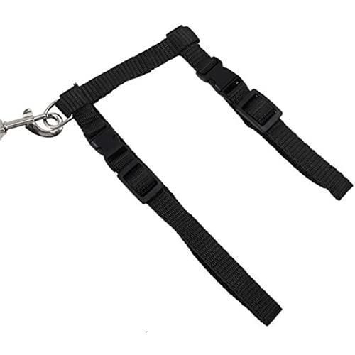 SouiWuzi Cat Harness Kitten Correa Arnés Nylon Correa Cinturón Ajustable Gato Arnés Juego de Plomo Negro, Cat Arnés, Accesorios para el hogar